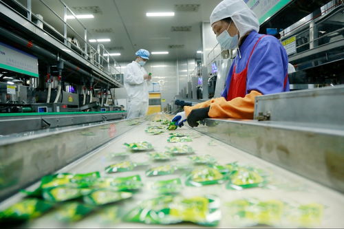 天門(mén)工業(yè)企業(yè)奮戰(zhàn)新春“開(kāi)門(mén)紅” 一線見(jiàn)聞